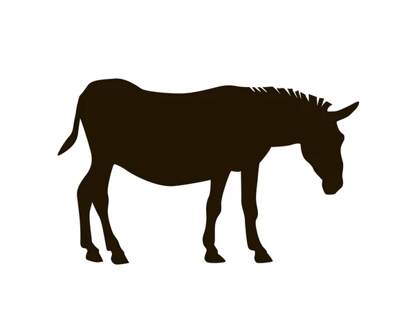 Silhueta Burro Preto Ilustração Vetor Branco — Vetor de Stock