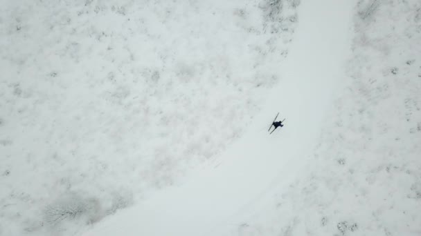 Treinamento Esquiador Região Moscovo Vista Aérea — Vídeo de Stock