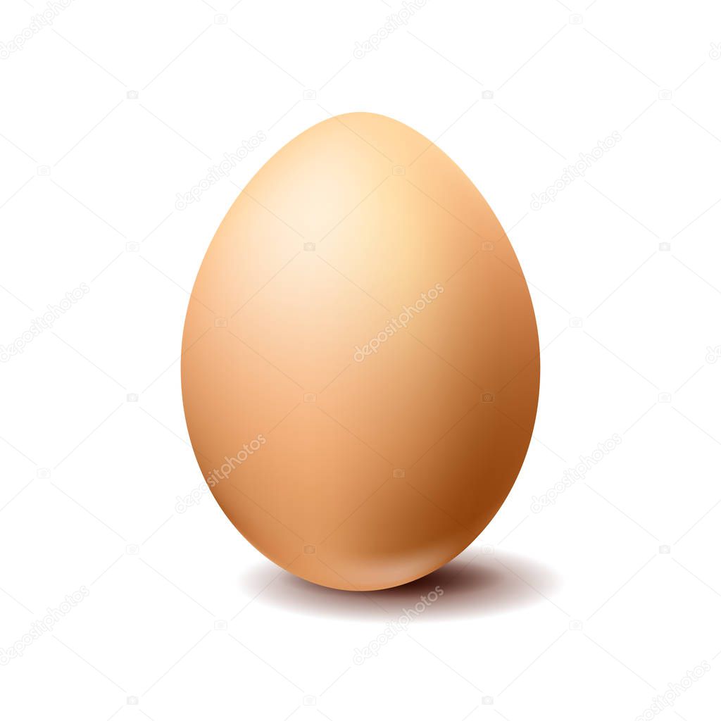 Brown realistic vector chicken egg isolated on white background