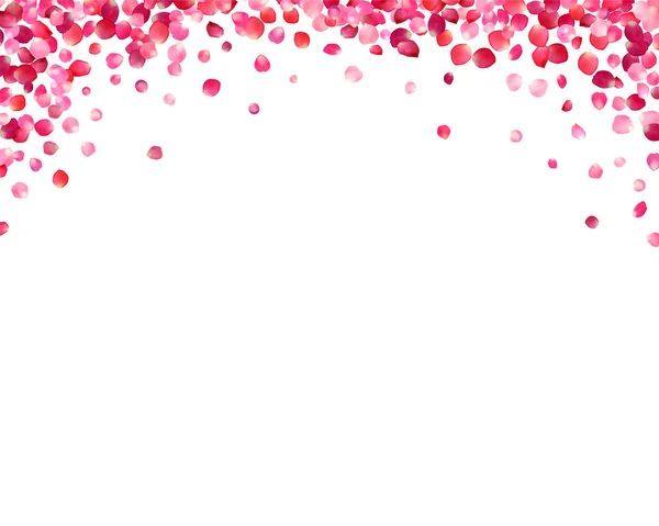 Fundo branco com pétalas de rosa rosa — Vetor de Stock