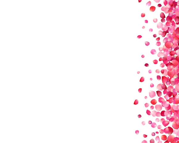 Hintergrund mit rosa Rosenblättern — Stockvektor