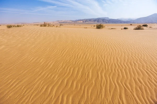 Duna de areia. Deserto de Wadi Araba. Jordânia — Fotografia de Stock