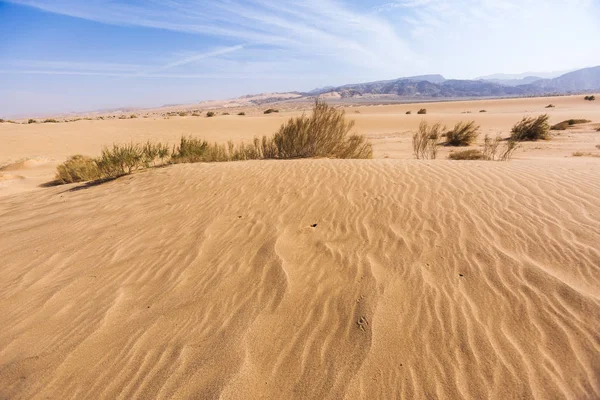 와 디 Araba 사막입니다. 요르단 풍경 — 스톡 사진