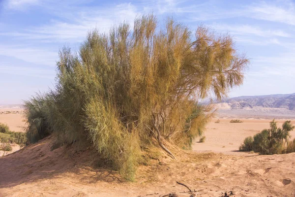 Deserto de Wadi Araba. Jordânia paisagem — Fotografia de Stock