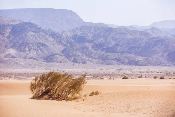 El desierto de Wadi Araba. Jordania paisaje — Foto de Stock