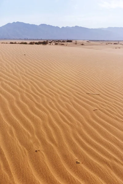Písečné duny. Poušť Wádí Araba. Jordánsko — Stock fotografie