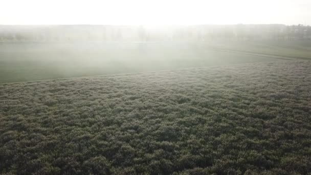 Foggy matin de banlieue. Vue aérienne d'en haut sur le terrain 