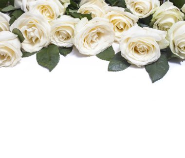 beyaz zemin üzerine beyaz güller