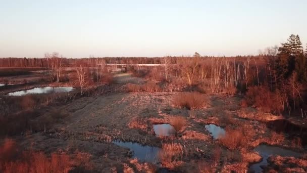 モスクワ地方 ルゴバヤ ロブニア 近くの池や春の森 上からの眺め — ストック動画