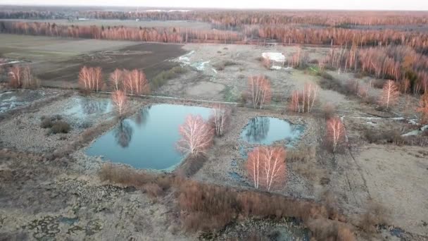 Estanques Bosque Primavera Cerca Lugovaya Lobnia Región Moscú Vista Desde — Vídeos de Stock