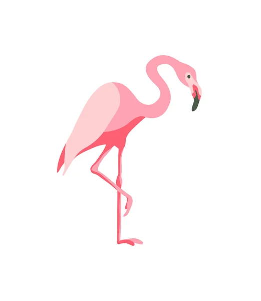 Pink flamingo. Flat vector illustration — Stock Vector