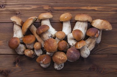 Boletus mantar ahşap arka plan üzerinde