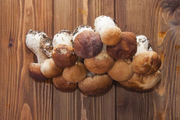 Hříbky na dřevěné pozadí — Stock fotografie