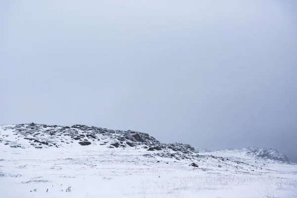 Deserto di neve. Penisola di Kola paesaggio invernale — Foto Stock