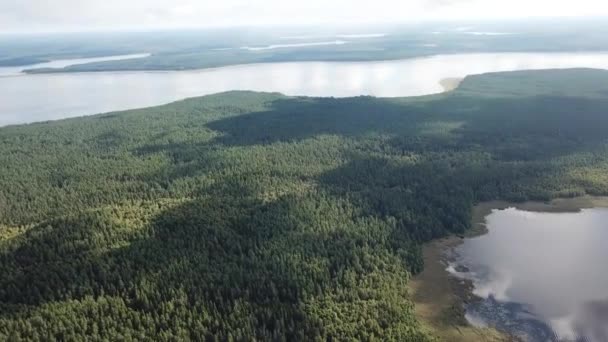 Isla Hachin Vista Del Lago Seliger Desde Arriba Paisaje Naturaleza — Vídeo de stock