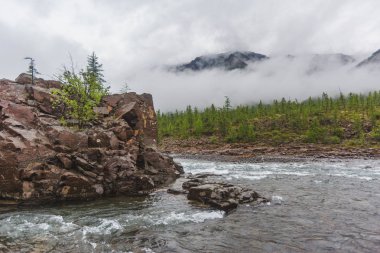 Putorana Platosu'ndaki Hoisey Nehri. Rusya, Sibirya