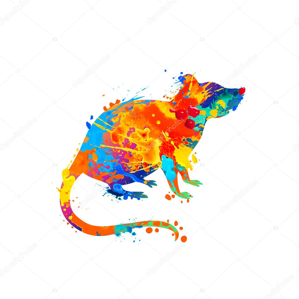 Rat. Vector silhouette of splash paint on white background