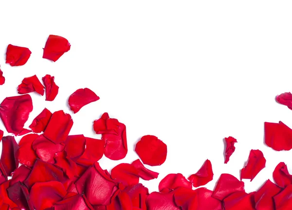 Achtergrond met rode rozenblaadjes — Stockfoto