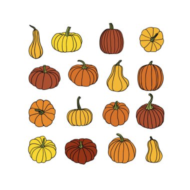 Beyaz balkabağı seti