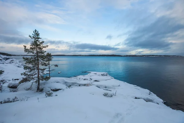 Βραχώδης Ακτή Της Λίμνης Λαντόγκα Λένινγκραντ Περιοχή Χειμερινό Τοπίο Ρωσία — Φωτογραφία Αρχείου