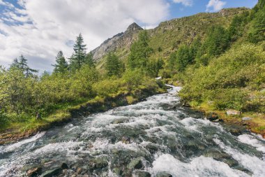 Ak-kem nehrinin hızlı akışı. Altai manzarası. Rusya