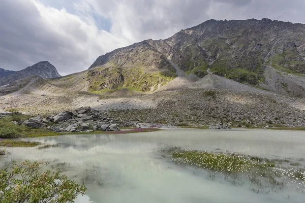 Vallei Van Kem Rivier Altai Landschap Rusland — Stockfoto