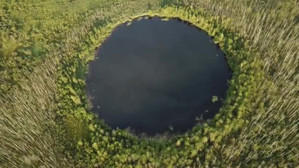 Lago Círculo Sin Fondo Bosque Del Distrito Solnechnogorsk Región Moscú — Vídeos de Stock