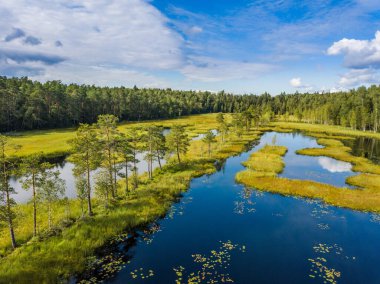 Martynovskoe Gölü Havacılık Summerview. Moskova Bölgesi, Rusya