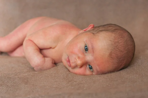 Recién Nacido Lindo Bebé Encuentra Sobre Fondo Marrón —  Fotos de Stock