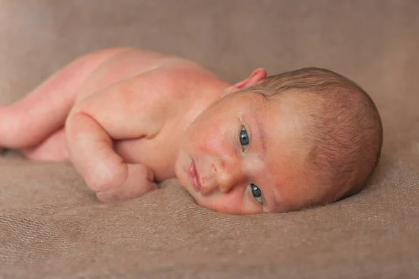 Nyfödd Söt Baby Ligger Brun Bakgrund — Stockfoto