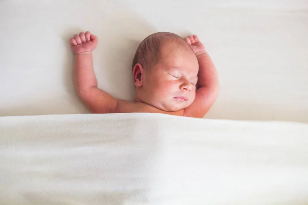 Bonito Bebê Recém Nascido Dorme Fundo Branco — Fotografia de Stock