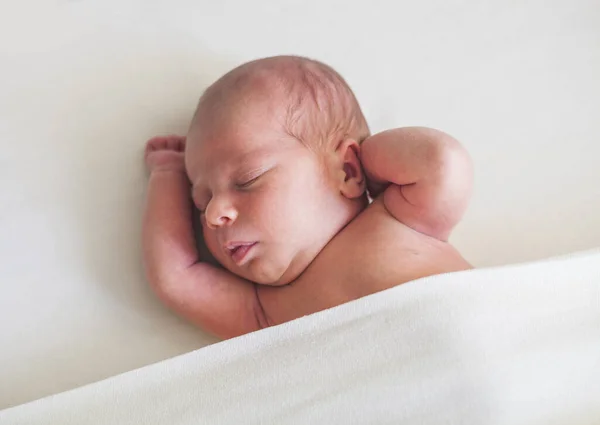 Lindo Bebé Recién Nacido Duerme Sobre Fondo Blanco — Foto de Stock