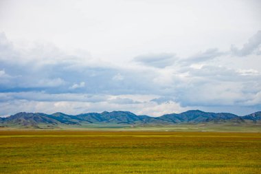 Dağ manzarası. Altai Cumhuriyeti yaz doğası, Rusya