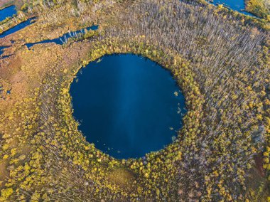 Moskova 'nın Solnechnogorsk bölgesinin dipsiz göl sonbahar ormanı. - Rusya. Hava görünümü