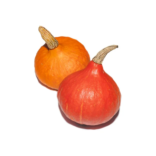Zwei Orangefarbene Kürbisse Isoliert Auf Weißem Hintergrund Lebensmittel — Stockfoto