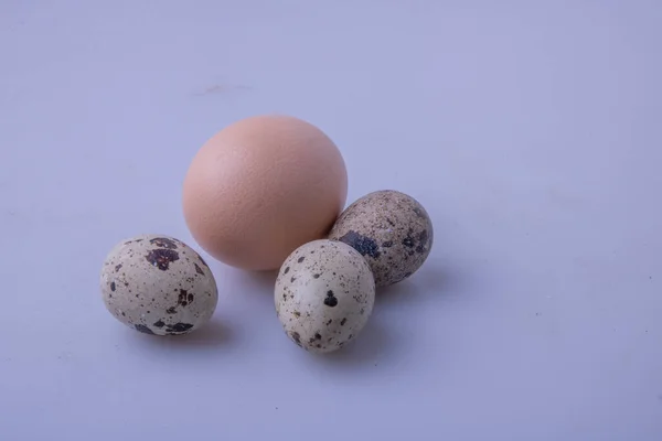 Uova Uccello Sono Alimento Comune Uno Degli Ingredienti Più Versatili — Foto Stock