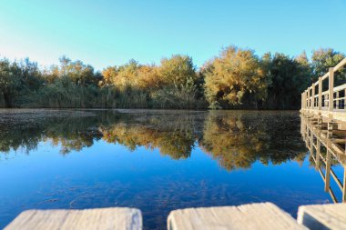 Azraq Wetland Reserve, Ürdün 'ün doğusundaki Azraq kasabası yakınlarında yer alan bir doğa koruma alanıdır.