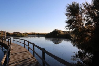 Azraq Wetland Reserve, Ürdün 'ün doğusundaki Azraq kasabası yakınlarında yer alan bir doğa koruma alanıdır.