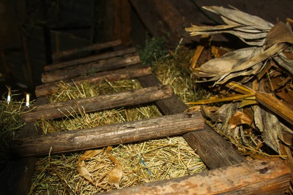 Merdiven samanlığa ve mısır sapına gidiyor - geleneksel tarım
