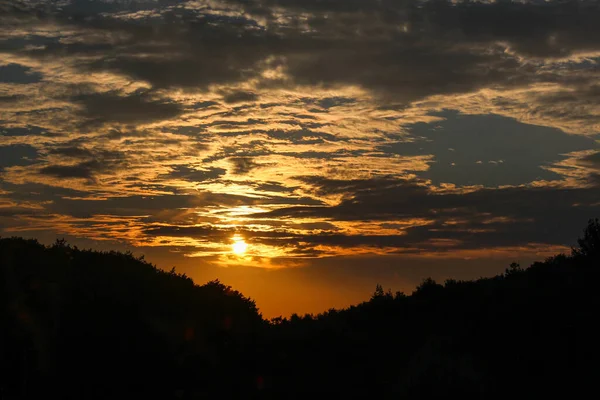 Paesaggio Alberi Silhouette Tramonto Con Nuvole — Foto Stock