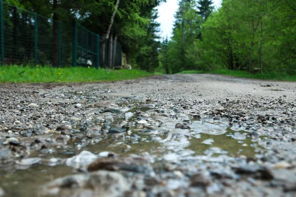 Safra dolu yol ve uzaktaki ağaçlar - suyla kaplı yol
