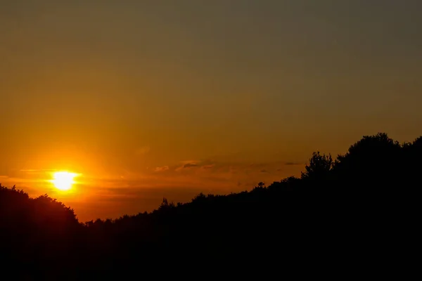 Árboles Retroiluminados Durante Puesta Sol Con Cielo Nublado Puesta Sol —  Fotos de Stock