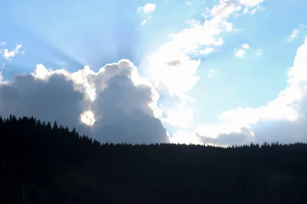 Φεγγαρόφωτα Δέντρα Στο Βουνό Τον Ήλιο Προσπαθεί Σπάσει Σύννεφα — Φωτογραφία Αρχείου