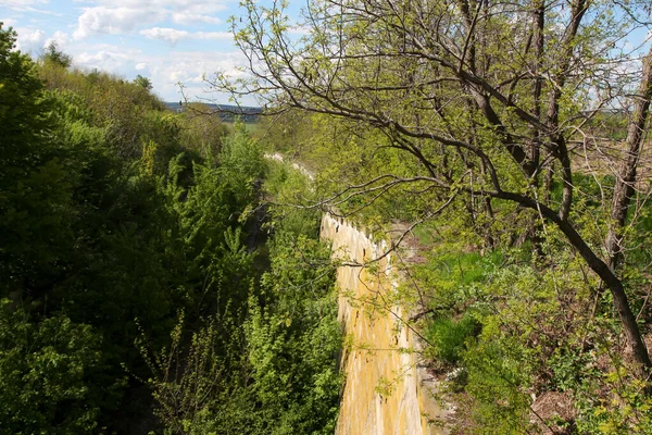 Parede Uma Antiga Ferrovia Romênia Parede Com Vegetação Árvores Natureza — Fotografia de Stock