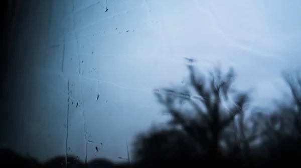 Vatten Fönstret Regn Fönsterglaset Skugga Träd Och Natur Genom Glas — Stockfoto