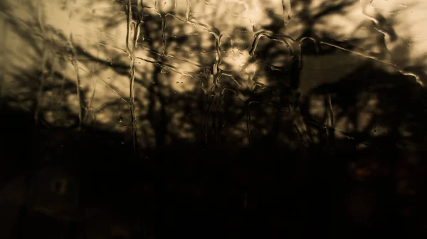 Вода Вікні Дощ Склі Вікна Тінь Дереві Природі Через Скло — стокове фото