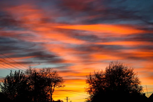 Tramonto Fuoco Con Nuvole Nebbiose Albero Retroilluminato — Foto Stock