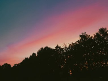 Sakin bir yaz akşamında, pembe ve mor renkleri olan canlı bir günbatımı gökyüzüne karşı ağaçların silueti.
