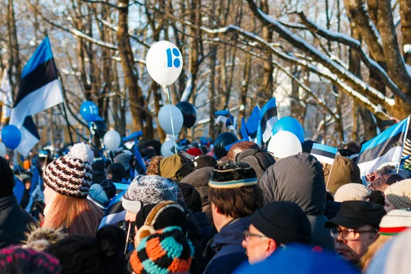 Tartu Estónia Fevereiro 2018 Cidadãos Outras Pessoas Ouvindo Oradores Oficiais — Fotografia de Stock