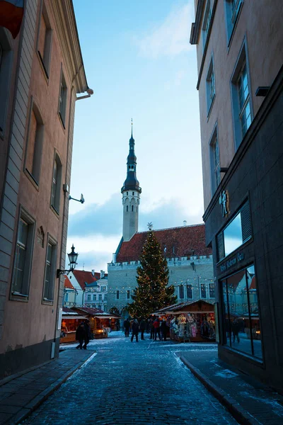 Tallinn Estônia Novembro 2016 Árvore Natal Edifício Câmara Municipal Mercado — Fotografia de Stock